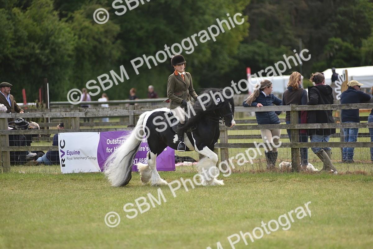 SBM_15902 - Class 117-122 - SSADL RIHS Qualifier
