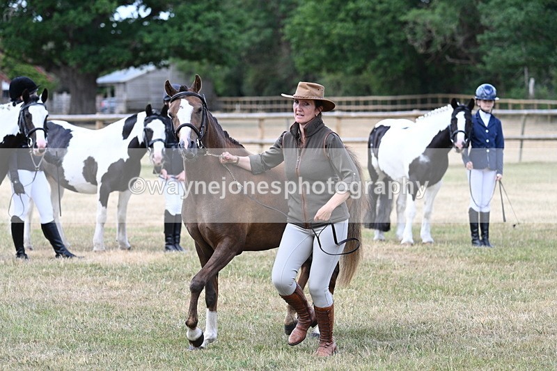 WJ7_1551 - Class 4 Prettiest Mare up to 14.2hh in hand
