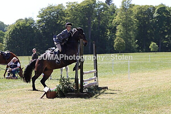 IMG_4522 - Working Hunter