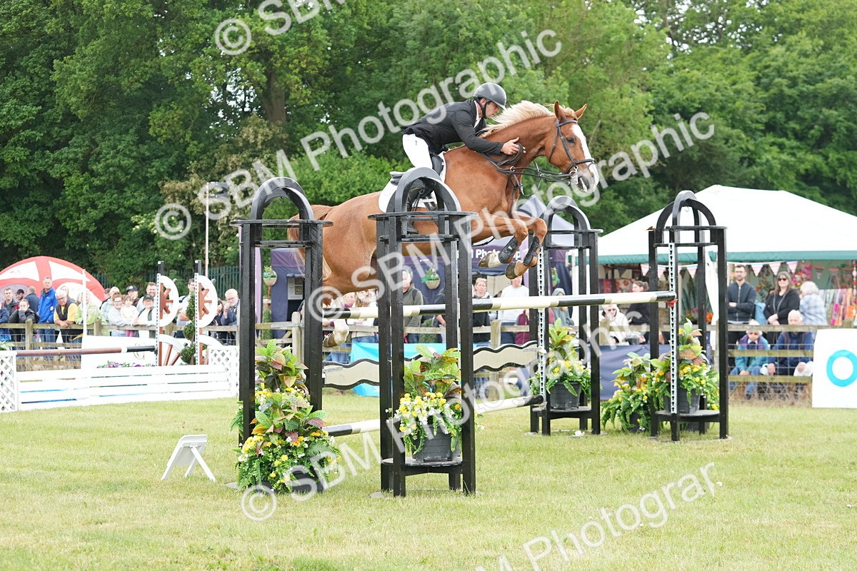 SBM_05307 - Class 201 - British Horse Feeds Speedi Beet Horse of the Year Show Grade  C