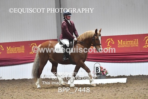 BPP_7448 - INTRO TEST 1