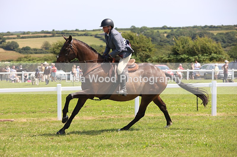 JPP_3280 - Class 22: Working Hunter 70cm