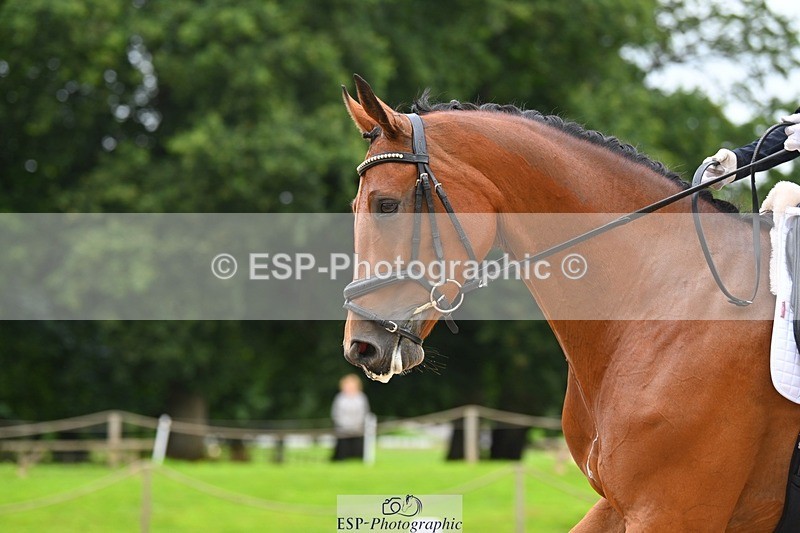 230813-090433-05751 - Cls 12 Elem Silver Start to 10.10 break