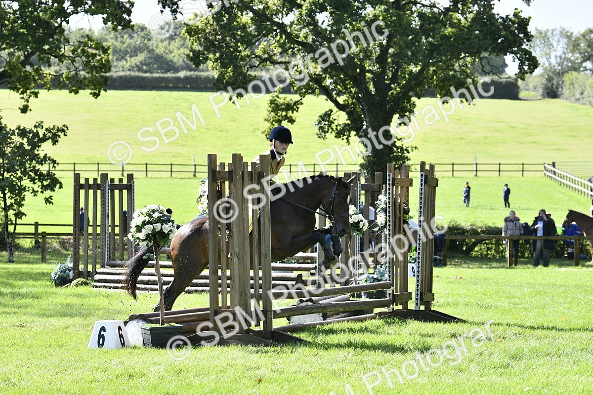 SBM_38259 - S31 - Novice & Newcomer Working Hunter Pony