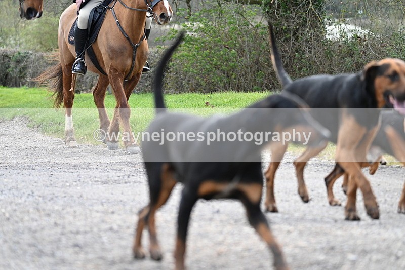 WJ7_9813 - Walk Home