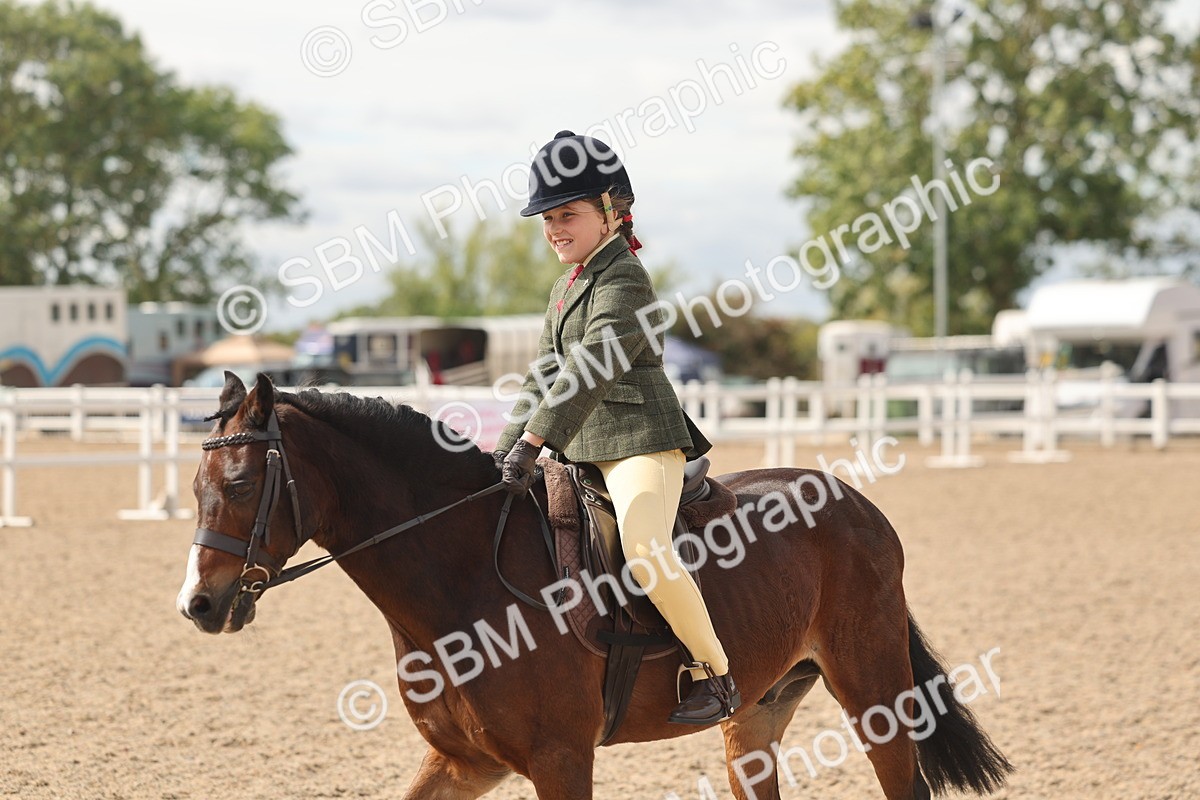 SBM_15907 - Class 310 - First Ridden Pony
