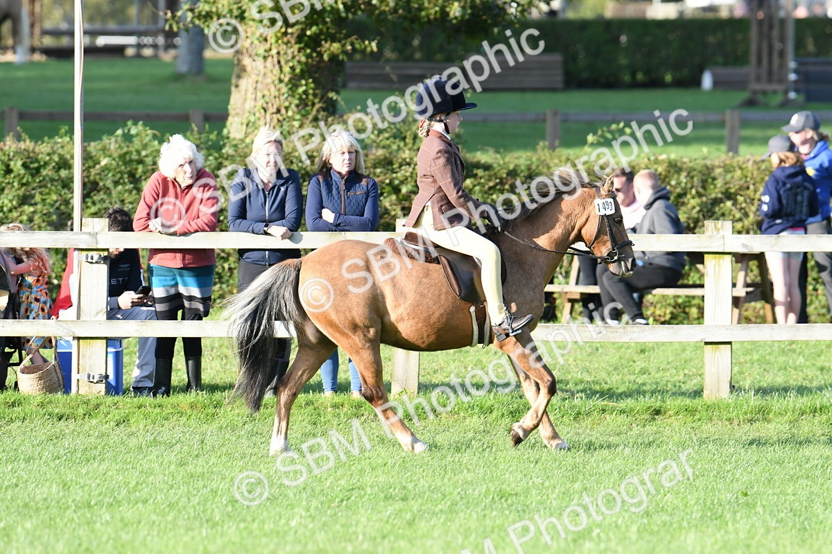 SBM_54096 - S23 - 1st Ridden Mountain & Moorland Pony