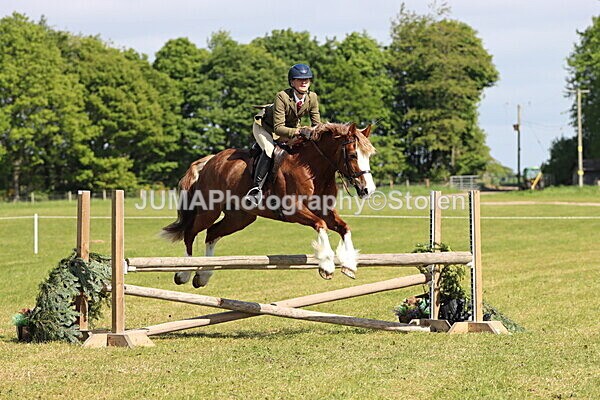 IMG_4725 - Working Hunter