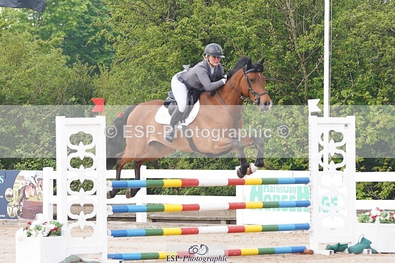 250425-085732-08269 - Cls 26 Young Horse 5yr old