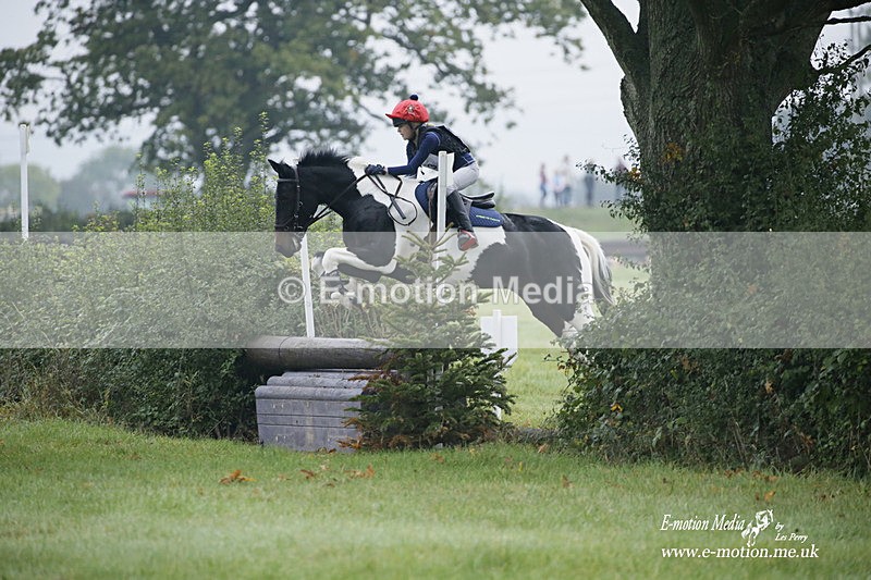 WWHT 171021 0074 - Novice Restricted (0.80m)  17/10/21