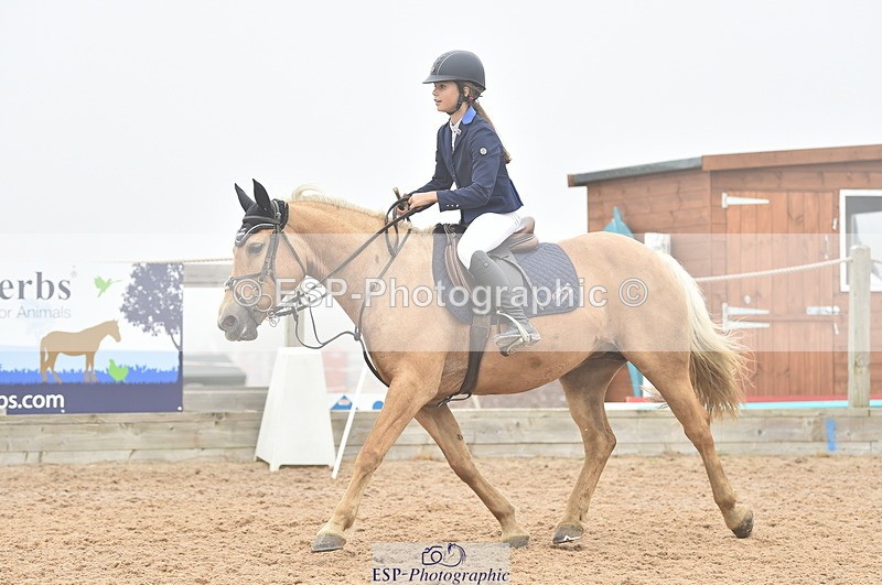 230902A-104752-00454 - Cls 2A Pony Small 70cm