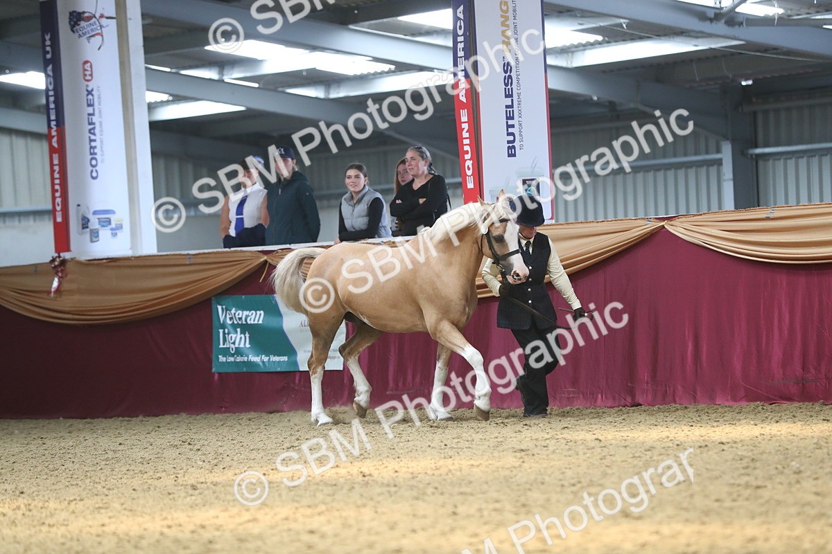 SBM_15232 - Class 501 M&M IH Supreme Final