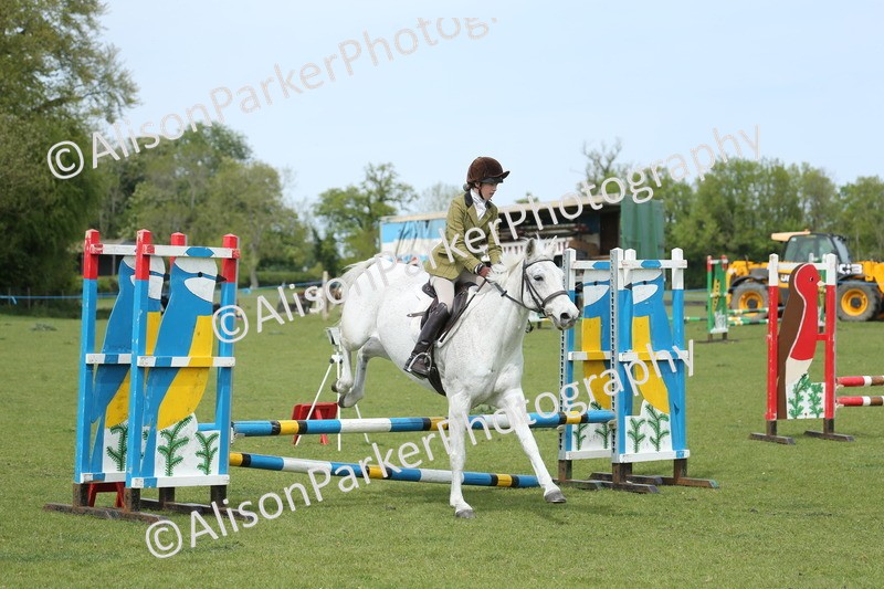20260426-2058 - Class 15 - Absolute Novice 70cm