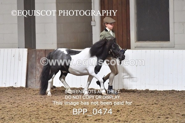 BPP_0474 - RING 1