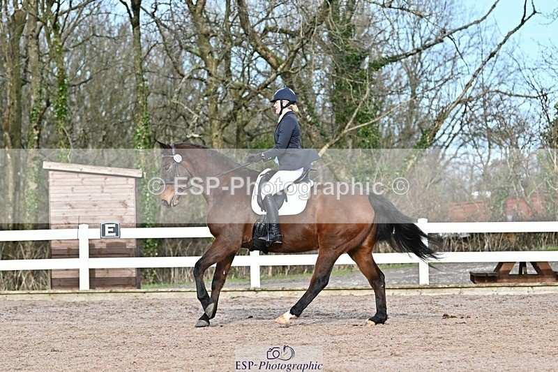 250125-124657-00486 - Dressage - CT Class 6 BE102