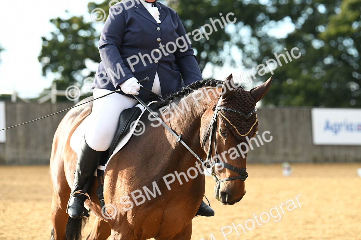 SBM_12552 - D19 Small Tour Championship Elementary 42