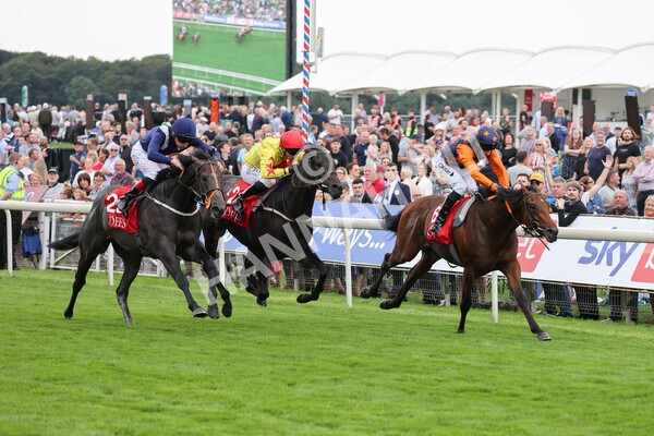 yr19082021r2-20 - Race 2 2.25pm Goffs UK Premier Yearling Stakes