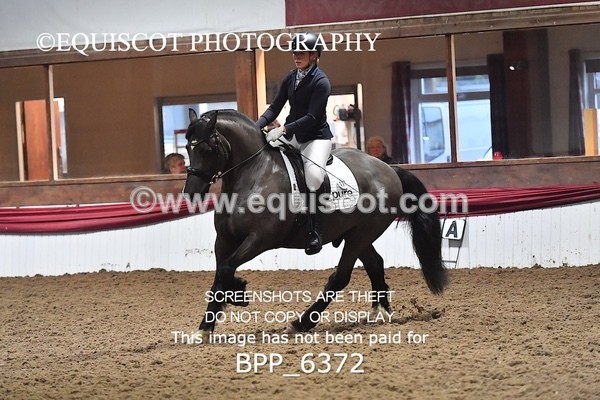 BPP_6372 - 37 Ellis Simister