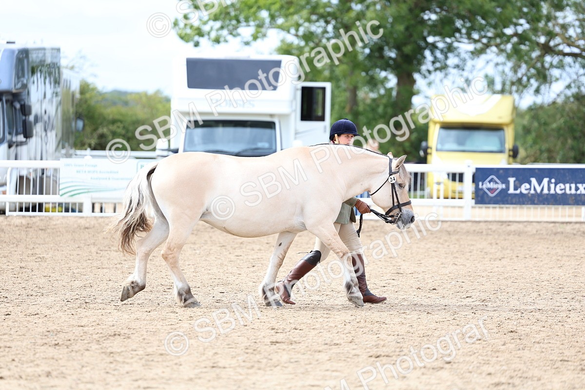 SBM_03917 - Class 25 - IH Foreign Breeds - Pure Bred