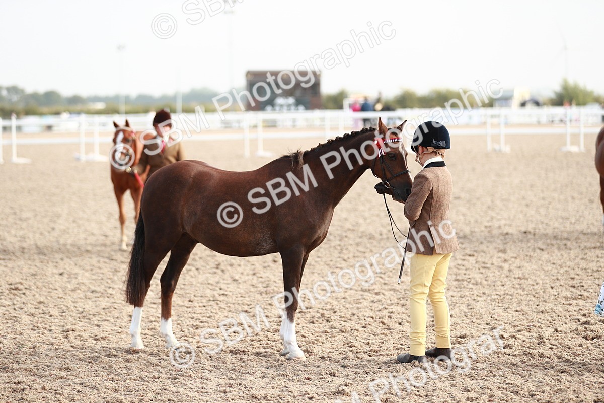 SBM_09897 - Class 203 Young Handler, 10 years and under