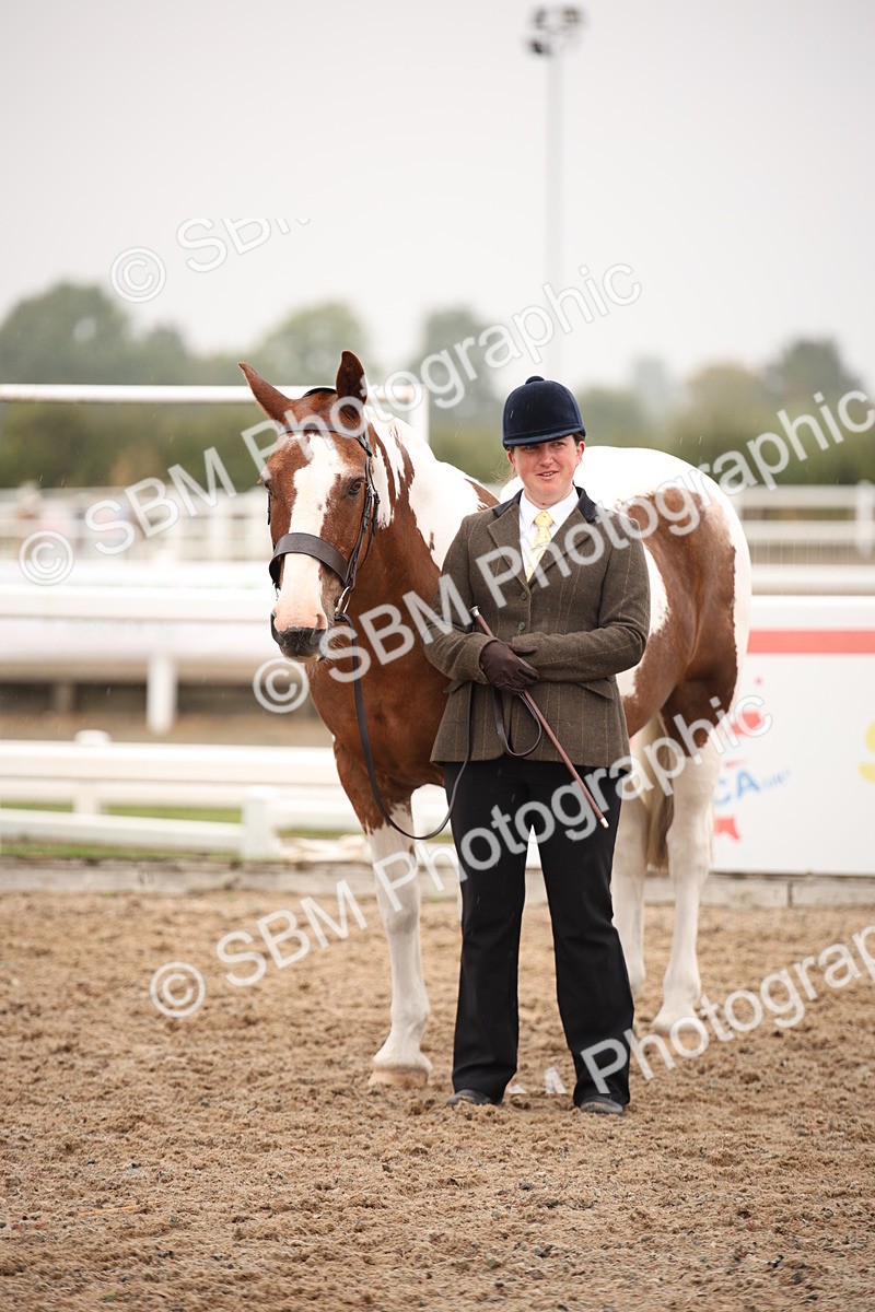 SBM_20187 - Class 703 - IH  Coloured