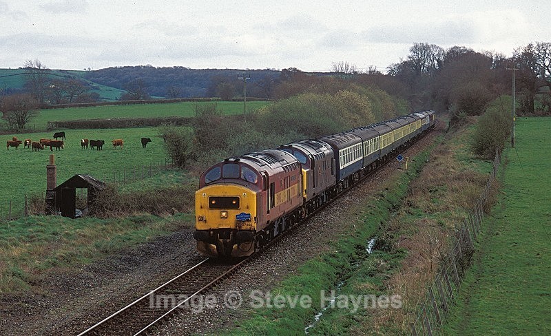 9th April 2005 - Chetnole, Dorset