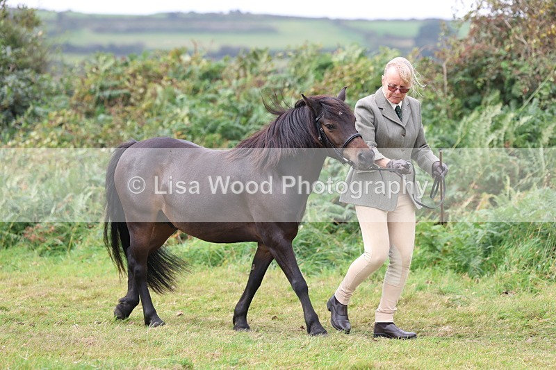 3E7A4513 - Class 16: Best Grass Kept