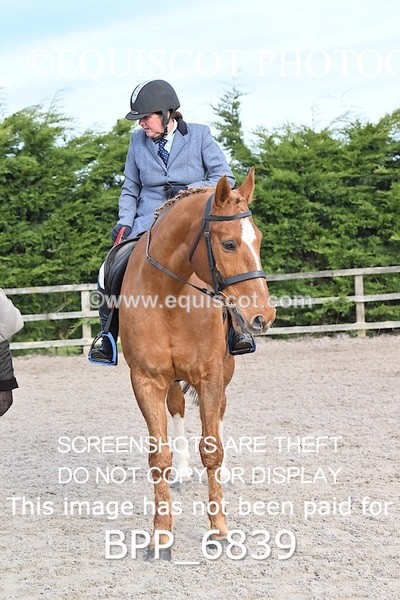 BPP_6839 - RING 1  (RIDDEN HORSES / IN HAND / VETERAN ETC)