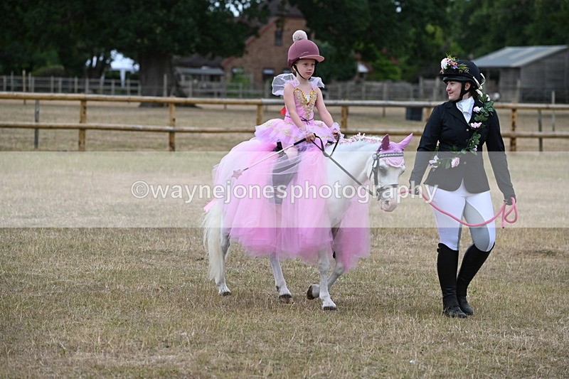 WJ6_8618 - Class 11 Fancy Dress