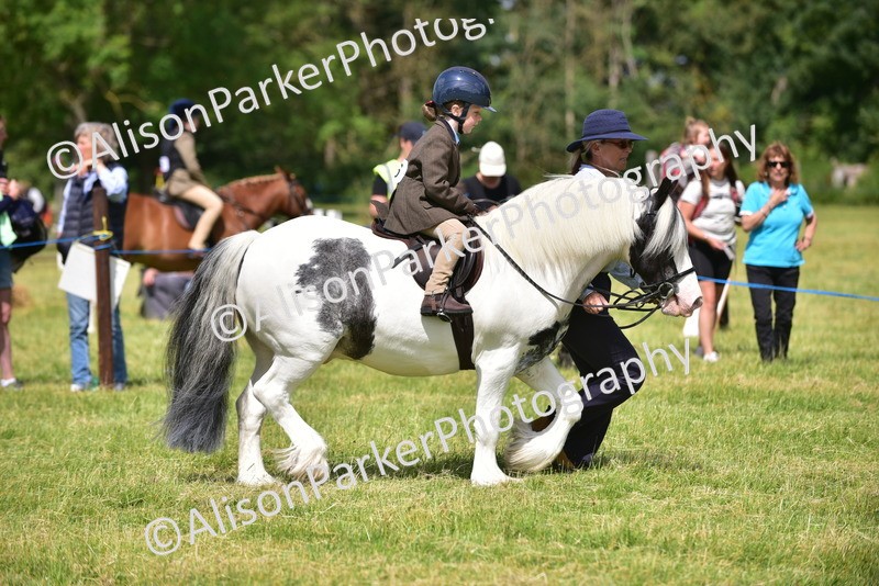 20260614-1177 - Class 11a - Lead Rein Pony (Unplaited)