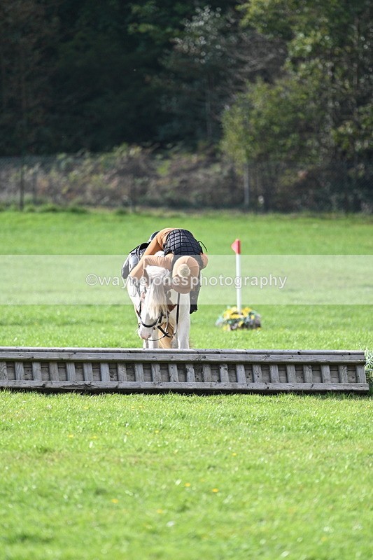 WJ7_3963 - 40cm Time 10:26 to 10:42