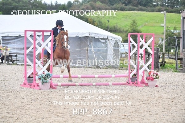 BPP_8867 - CLASS 3 40CM