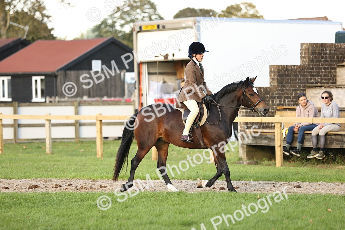 SBM_29548 - S7 - Novice & Newcomers Ridden Pony