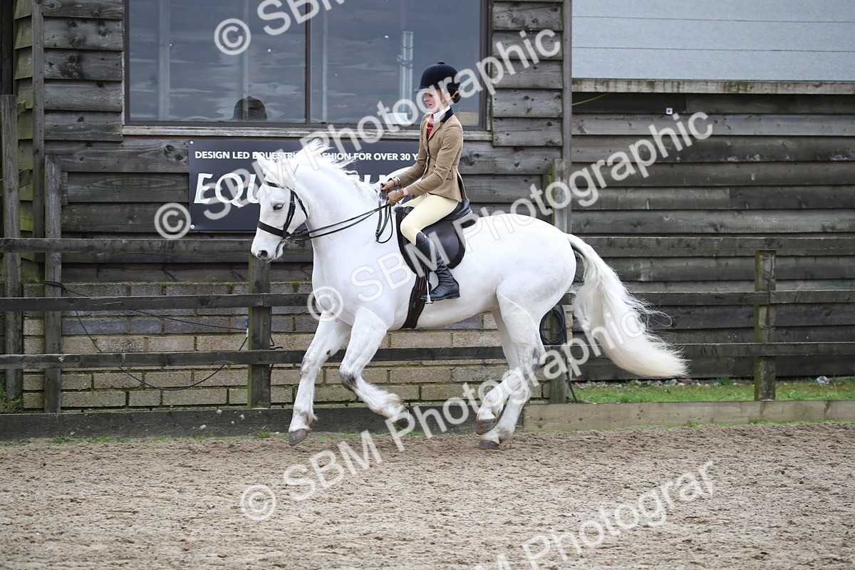 SBM_006148 - Class 10-13 - RIHS Small Large Breeds