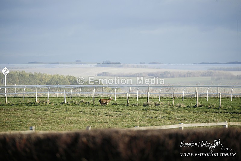PtP 121220 076 - Avon Vale Races Larkhill 12/12/20