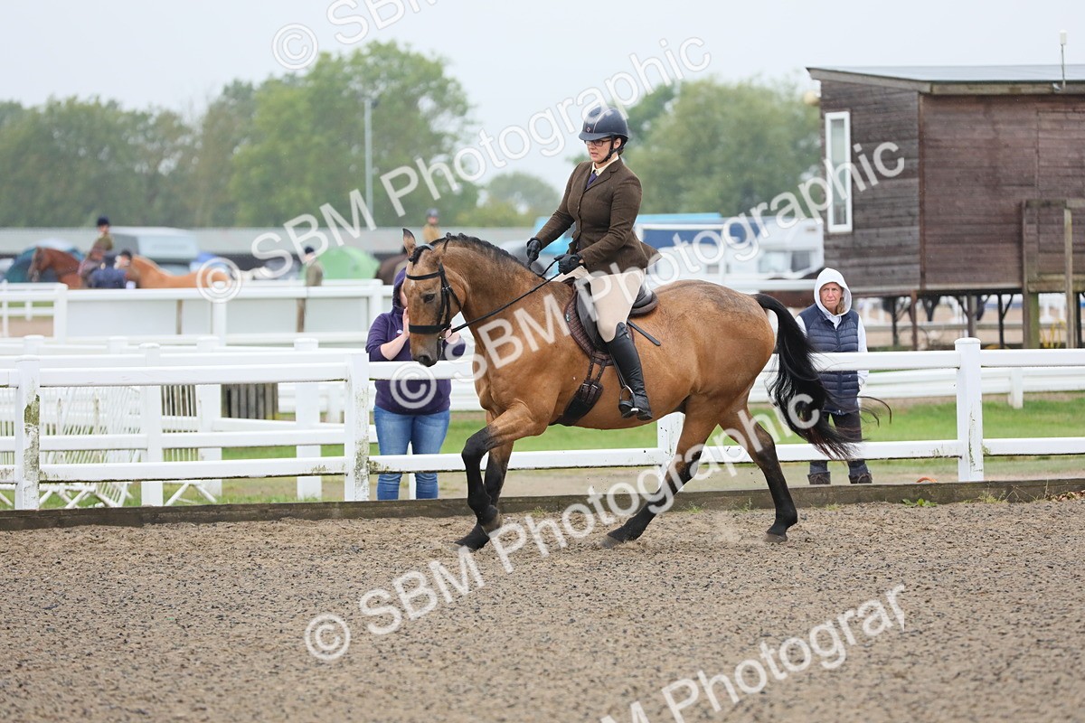 SBM_19912 - Class 801 - Ridden Veteran