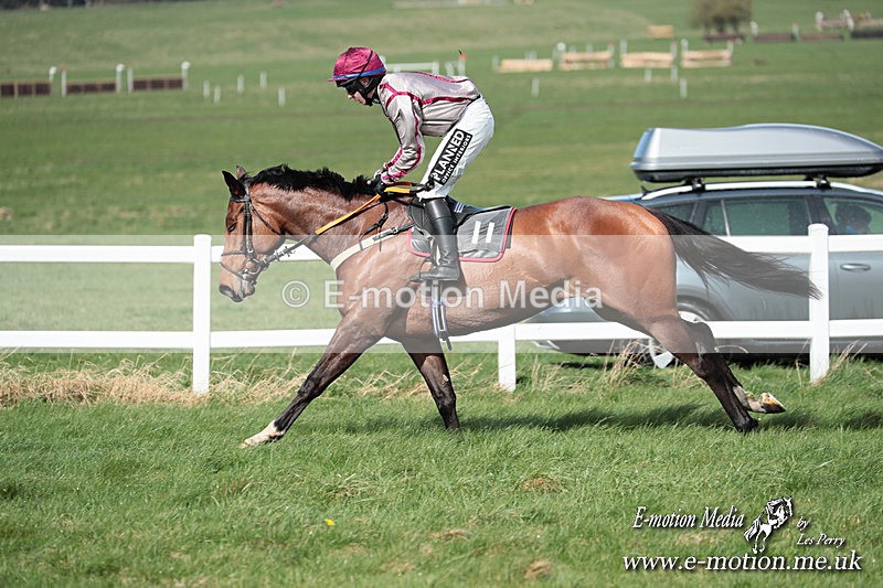 PtP 230324 535 - Tedworth Hunt PtP Larkhill Raccourse 23rd March 2024