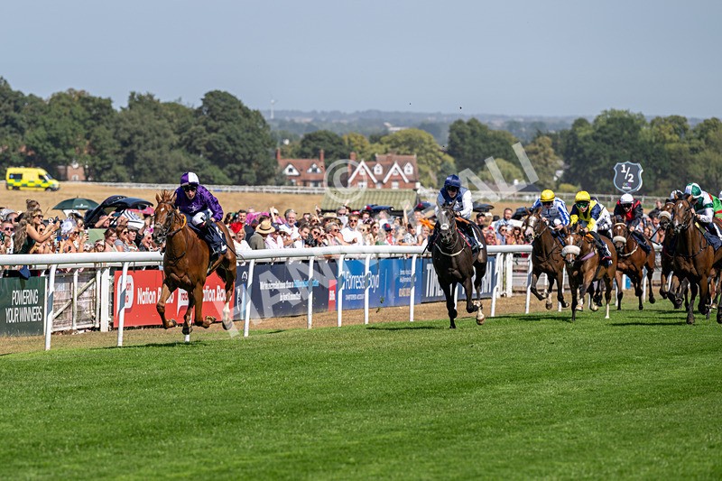 120826-Race 2-Empire Rising-5613 - Race 2 14.45pm 911 At Porsche Centre Hull EBF Restricted Maiden Stakes
