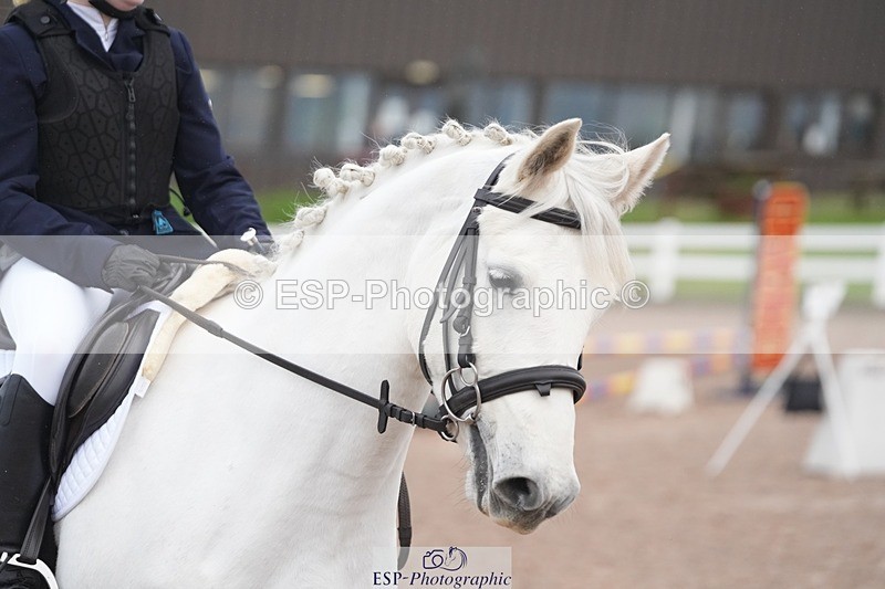 251129-100712-00133 - 50cm