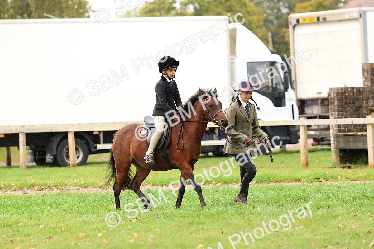 SBM_45033 - S27 - Young Veteran Ridden