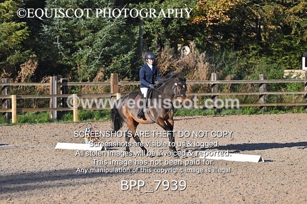 BPP_7939 - LONG ARENA