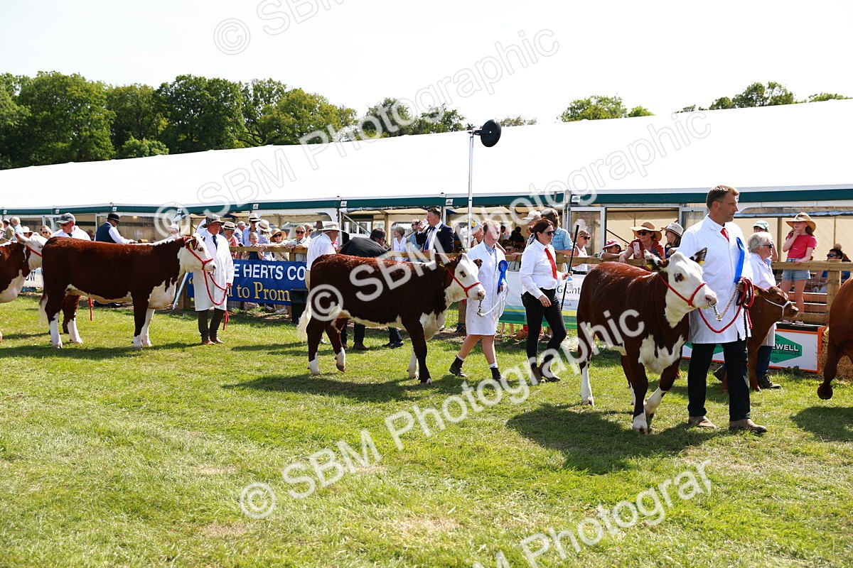 SBM_08447 - Grand Parade