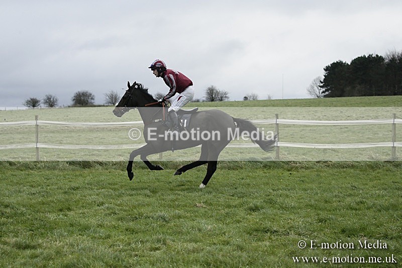 PtP 031217 217 - Hursley Hambledon Point-to-Point Larkhill 03/12/17
