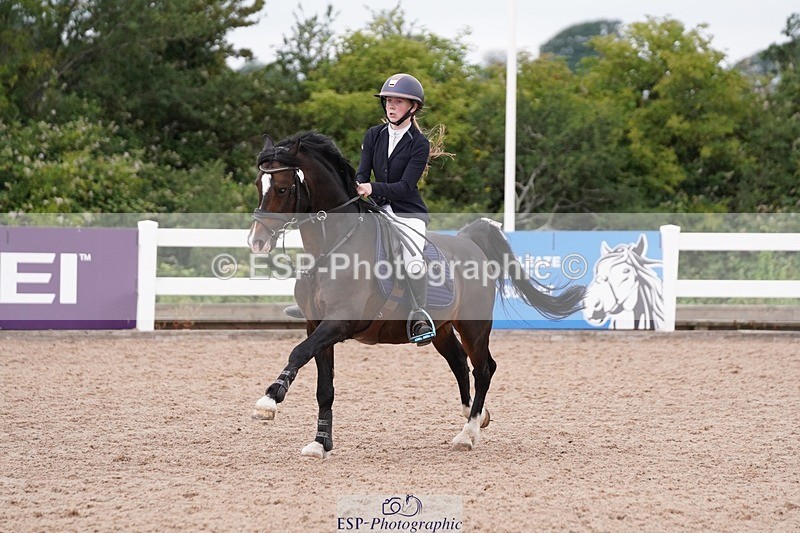 250628-101930-03039 - Cls 21 Stepping Stones