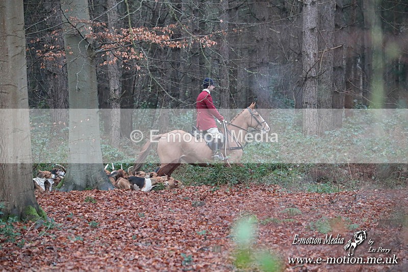 HUPY 261224 72 - Pytchley with Woodland Hunt Boxing Day Meet 26th December 2024
