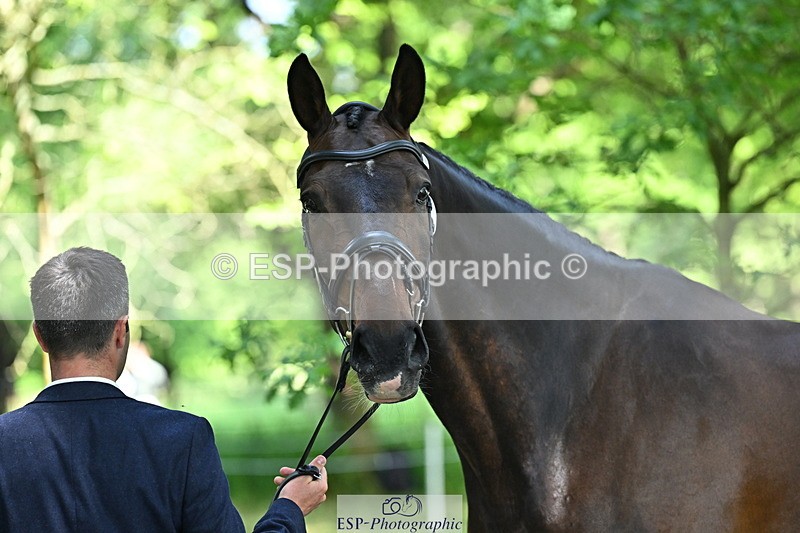 250521A-154938-00785 - B-372-Stephen.Heal-HISCO