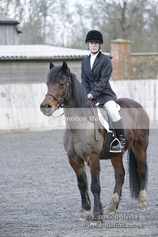 BVRC 050320 0175 - Bourne Valley riding Club Show Jumping Tidworth 08/03/20
