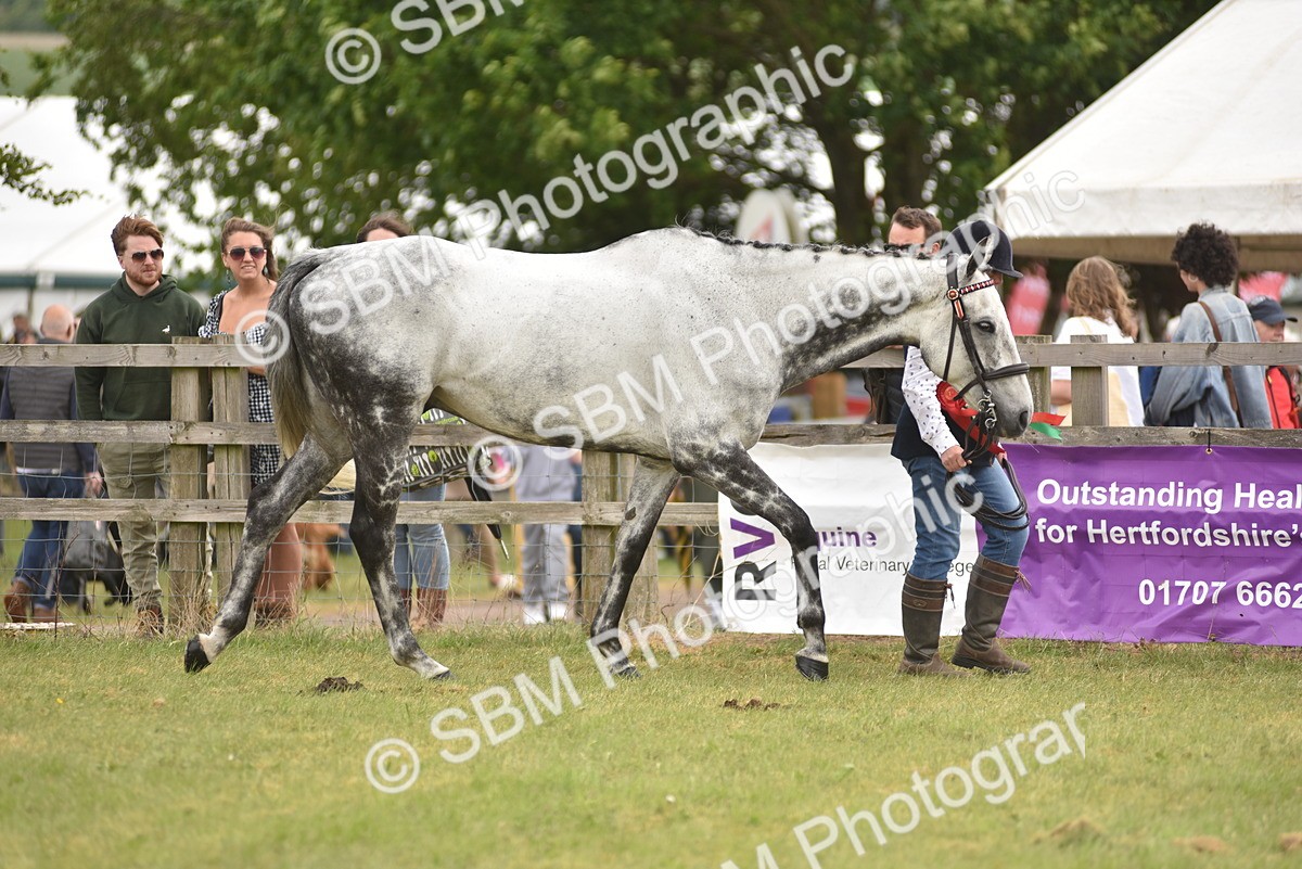 SBM_14269 - Class 113-114 - Retraining of Racehorses Ridden
