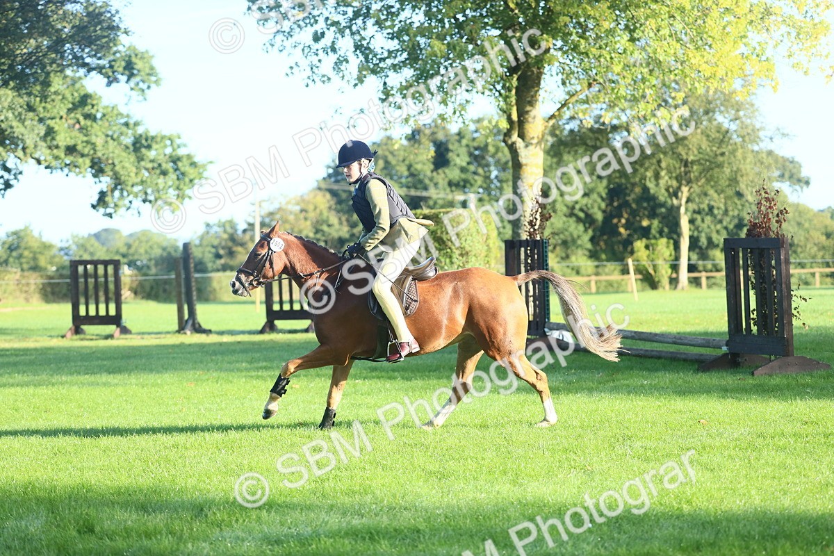 SBM_33394 - S28 - Nursery Stakes Working Hunter Pony