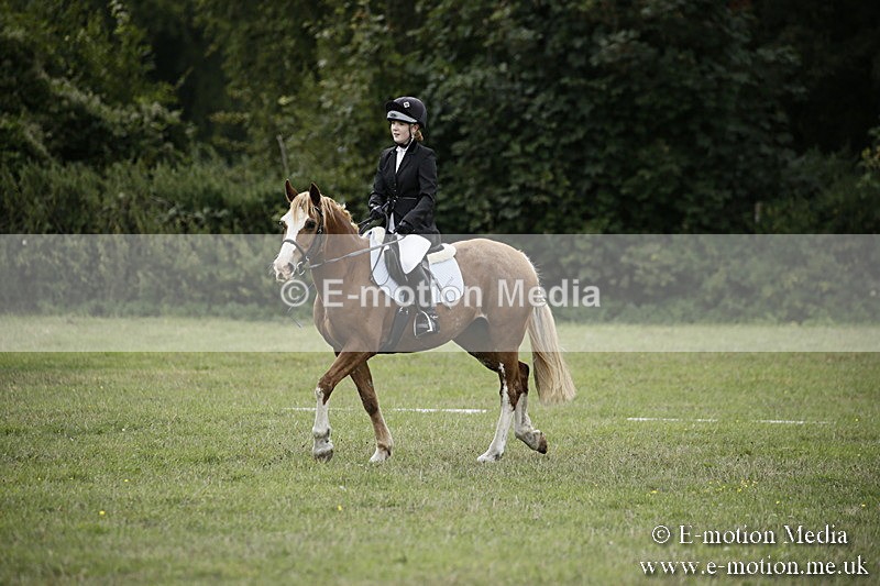 BVR080918 75 - BVRC Novice Dressage & CR 08/09/18